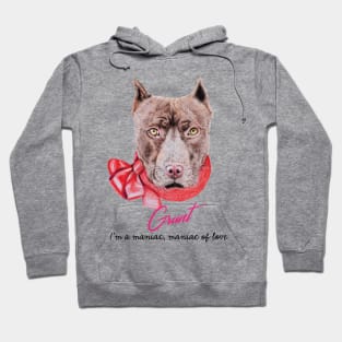 Grunt the pitbull Hoodie